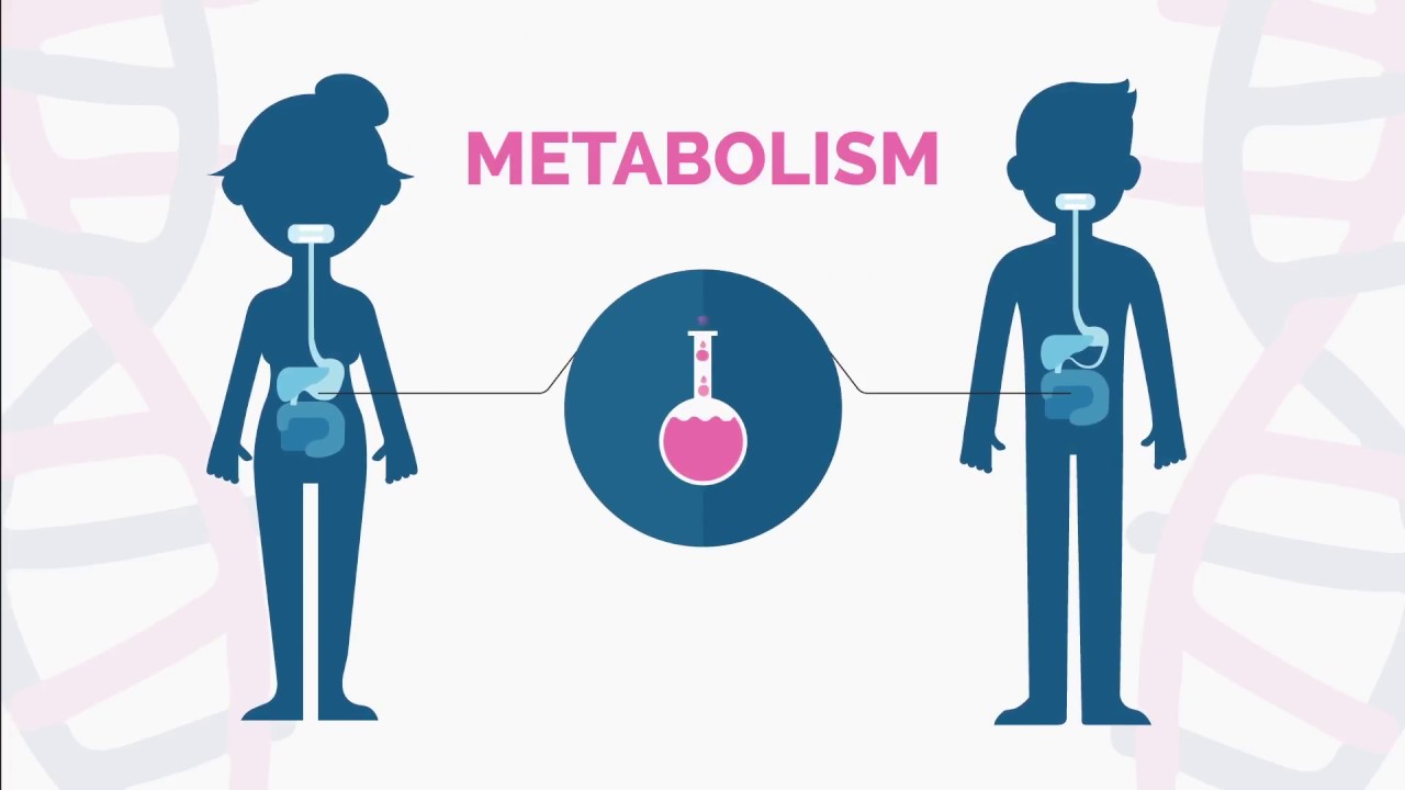 Metabolic disorders – NAW LAB